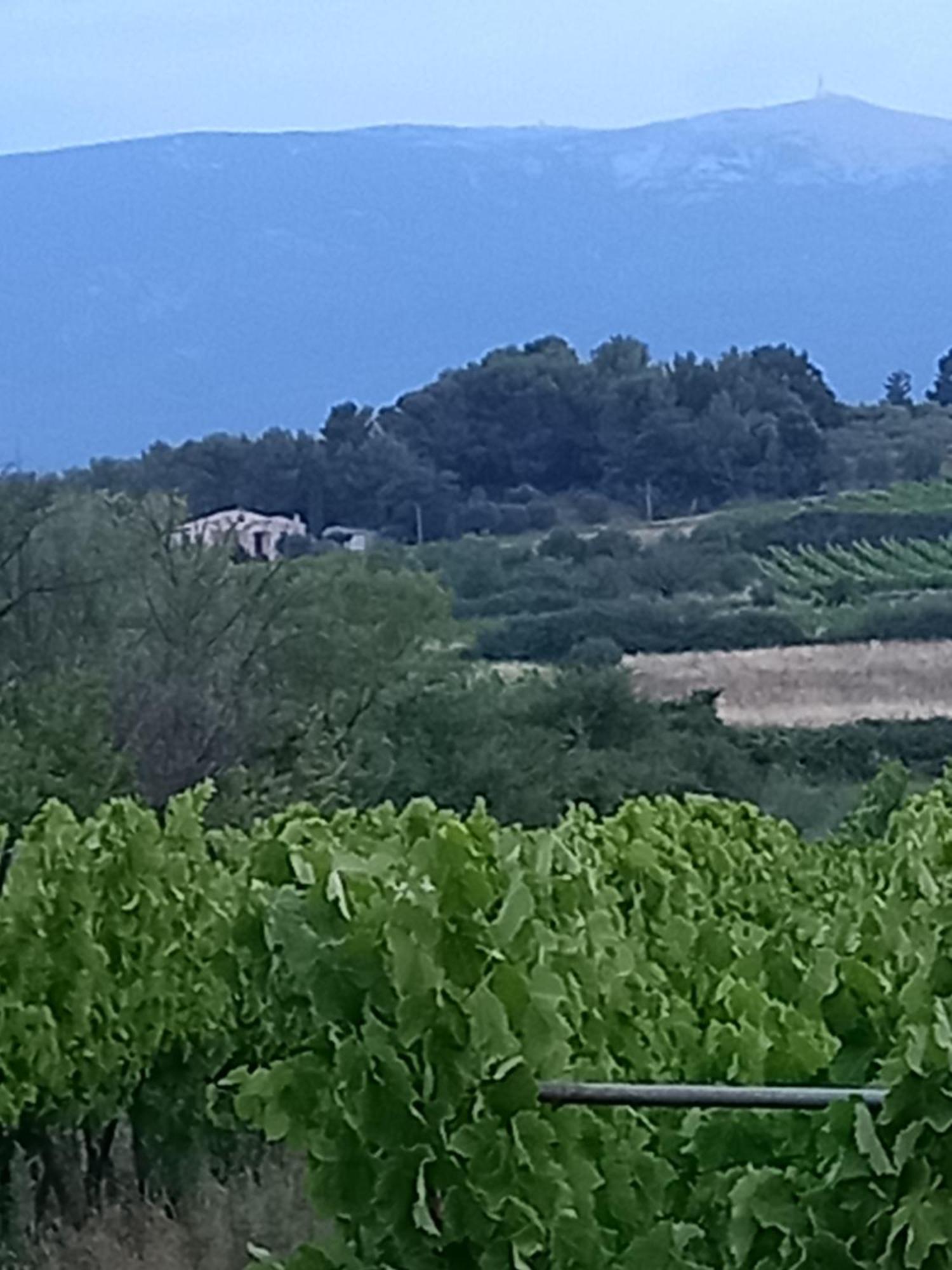 La Pifote Villa Villes-sur-Auzon Exteriör bild